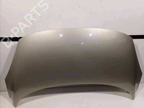 Used Hood RENAULT SCÉNIC III (JZ0/1_) 1.6 16V (JZ0U, JZ1B) (110 hp) 20604808