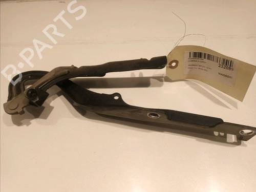 Used Hinge/Door check strap PEUGEOT 207 CC (WD_) 1.6 16V (120 hp) 16202483