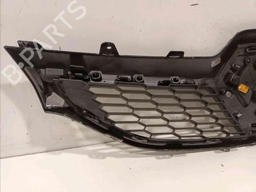 Grille RENAULT SCÉNIC III (JZ0/1_) 1.6 dCi (JZ00, JZ12) | BP20604862C40 