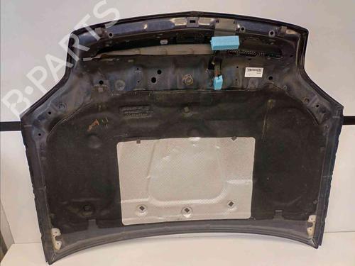 Hood OPEL SIGNUM Hatchback (Z03) 1.9 CDTI (F48) | BP9341539C1 