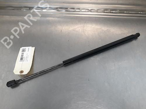 Used Tailgate lift support HYUNDAI ATOS (MX) 1.1 (63 hp) 14868202