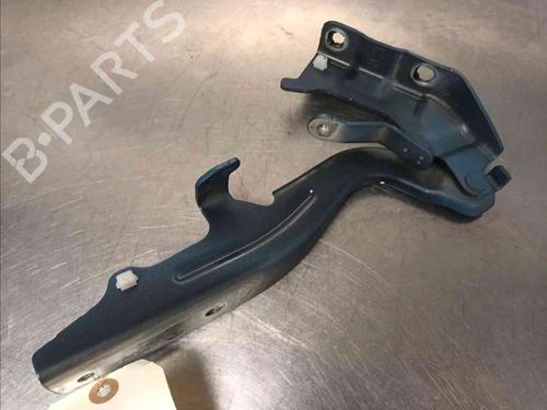 Hinge/Door check strap NISSAN JUKE (F16_) DIG-T 117 | BP21083703C146