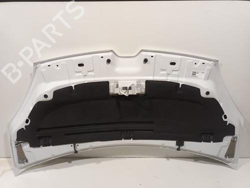 Hood RENAULT KANGOO Express (FW0/1_) 1.5 dCi 90 (FW0G, FW05, FW08, FW11) | BP29349459C1 