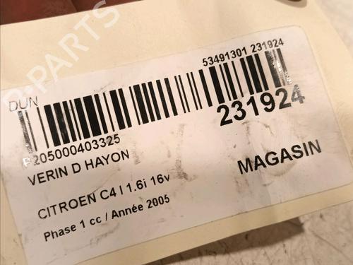 Tailgate lift support CITROËN C4 Coupe (LA_) 1.6 16V | BP18953571C138 