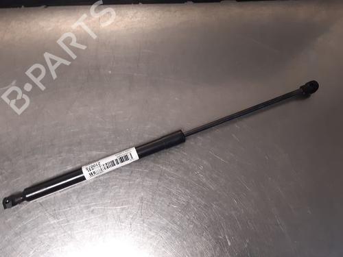 Used Tailgate lift support DACIA SANDERO II 1.0 TCe 100 (B8ML) (101 hp) 20601078
