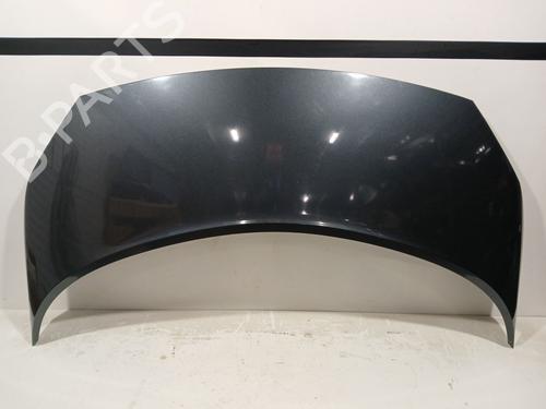 Used Hood RENAULT SCÉNIC II (JM0/1_) 1.9 dCi (JM14) (131 hp) 22251770