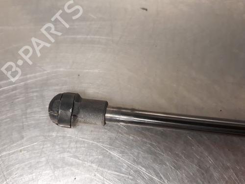 Tailgate lift support TOYOTA YARIS (_P13_) 1.4 D (NLP130_, NLP130) | BP14868282C138 