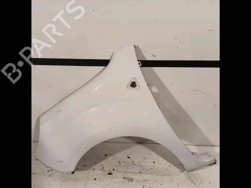 Kotflügel links vorne für RENAULT KANGOO Express (FW0/1_) 1.5 dCi 110 (FW0C, FW0H) (109 hp) 20604427