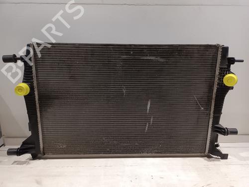 Used Water radiator RENAULT SCÉNIC III (JZ0/1_) 1.9 dCi (JZ0J, JZ1J, JZ1K, JZ1S) (131 hp) 29582640