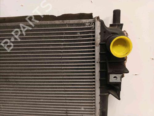Water radiator JAGUAR S-TYPE II (X200) 3.0 V6 | BP21124053M31 