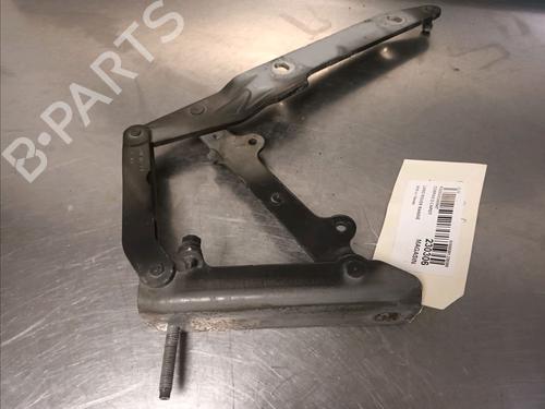 Hinge/Door check strap LAND ROVER RANGE ROVER SPORT I (L320) 3.6 D 4x4 | BP14865935C146 