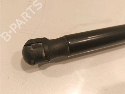Tailgate lift support BMW X1 (E84) sDrive 18 d | BP16286080C138 