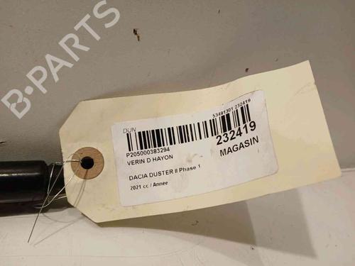 Tailgate lift support DACIA DUSTER (HS_)  | BP20605469C138 
