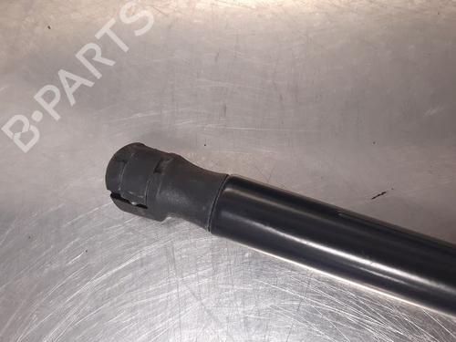 Tailgate lift support RENAULT MEGANE III Coupe (DZ0/1_) 1.9 dCi (DZ0N, DZ0J, DZ1J, DZ1K) | BP14867940C138 