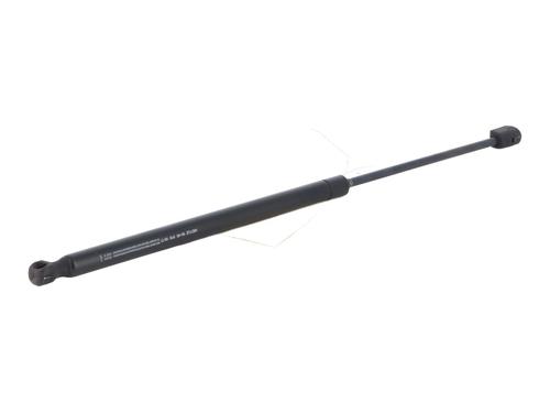 tailgate-lift-support-renault-scenic-ii-jm01_-2003-2004-2005-2006-2007-2008-2009-2010-36291443 main image