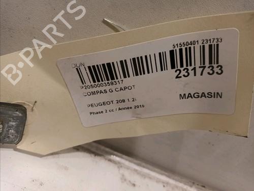 Hinge/Door check strap PEUGEOT 208 I (CA_, CC_) 1.2 PureTech 82 | BP15643098C146 