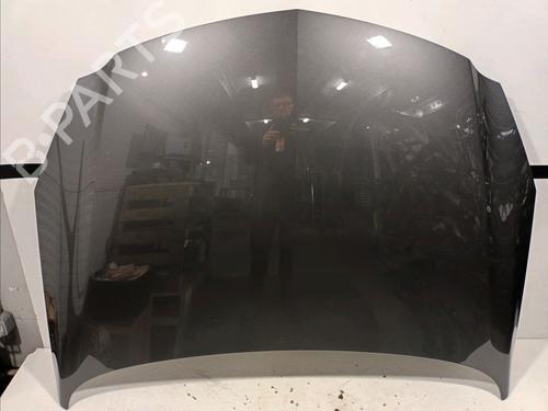Used Hood OPEL INSIGNIA A (G09) 2.0 CDTI (68) (131 hp) 18123947