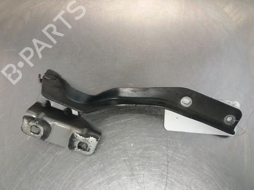 Hinge/Door check strap NISSAN QASHQAI / QASHQAI +2 I (J10, NJ10, JJ10E) 1.6 dCi | BP14865973C146 