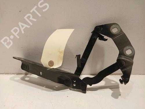 Hinge/Door check strap LAND ROVER RANGE ROVER EVOQUE (L538) 2.2 D 4x4 | BP17775941C146 