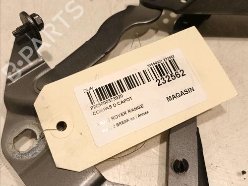 Hinge/Door check strap LAND ROVER RANGE ROVER EVOQUE (L538) 2.0 D | BP16537803C146 