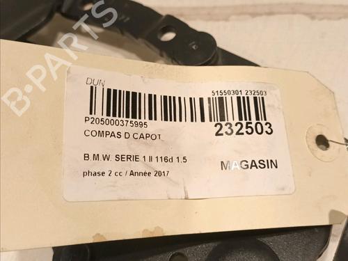 Hinge/Door check strap BMW 1 (F20) 116 d | BP16740417C146 