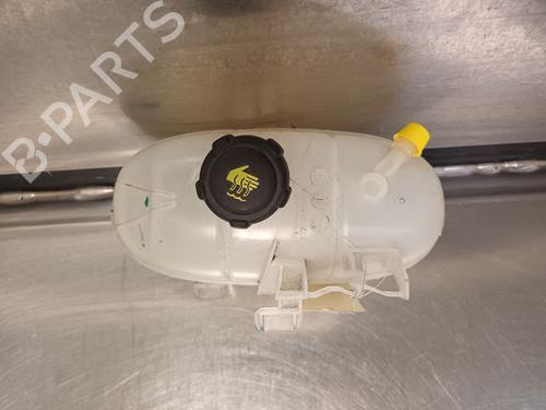 Used Expansion tank RENAULT TRAFIC III Van (FG_) 1.6 dCi 120 (FGMB, FGMC) (120 hp) 20601594