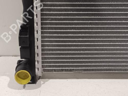 Water radiator RENAULT MASTER III Van (FV) | BP32008030M31