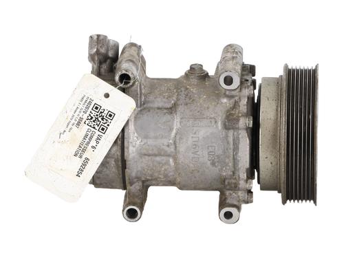 AC Kompressor RENAULT CLIO III (BR0/1, CR0/1) 1.2 16V (BR02, BR0J, BR11, CR02, CR0J, CR11) (75 hp) 24483115