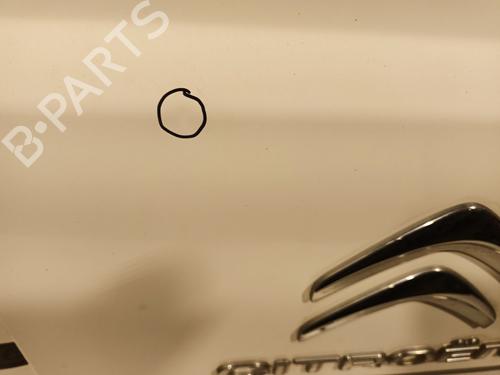 Left tailgate CITROËN JUMPER II Van 2.0 BlueHDi 130 | BP31368477C76