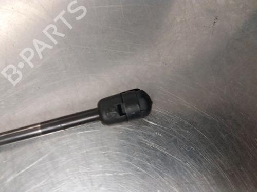 Tailgate lift support RENAULT WIND (E4M_) 1.2 (E4MF) | BP14868519C138 