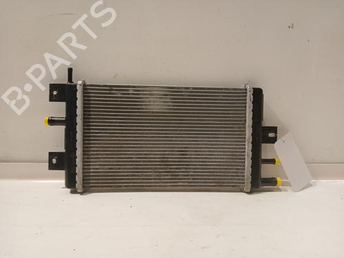 Køler DACIA SPRING EV (B6M1) | BP21168377M31 