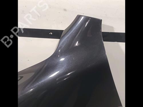 Left front fenders VW TOUAREG (7LA, 7L6, 7L7) 5.0 V10 TDI | BP17315476C41 