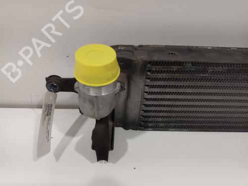 Intercooler RENAULT KOLEOS I (HY_) 2.0 dCi 4x4 (HY0B) | BP38231851M30 - Image 2