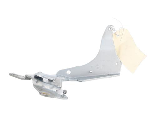 hingedoor-check-strap-renault-espace-iv-jk01_-2002-37458884 main image