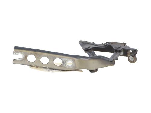 Hinge/Door check strap SKODA OCTAVIA II (1Z3) 1.6 TDI | BP22956215C146 