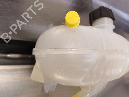Expansion tank RENAULT TRAFIC III Van (FG_) 1.6 dCi 120 (FGMB, FGMC) | BP20601594C120 