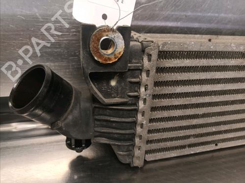 Intercooler NISSAN PRIMERA (P12) 1.9 dCi | BP14858671M30 