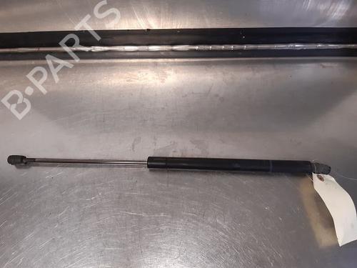 Used Tailgate lift support RENAULT MEGANE II Estate (KM0/1_) 1.5 dCi (KM16, KM1E) (106 hp) 14867984