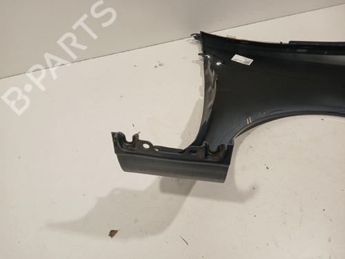 Left front fenders RENAULT CLIO III (BR0/1, CR0/1) 1.5 dCi (BR17, CR17) | BP28109845C41 