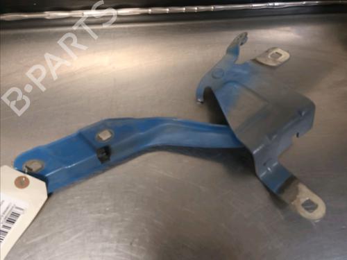 Hinge/Door check strap RENAULT CLIO IV (BH_) 1.5 dCi 75 | BP14865886C146 