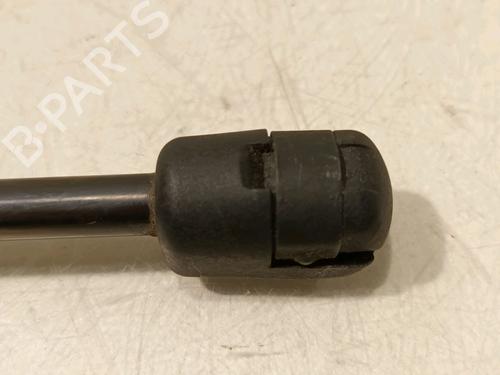 Hood lift support LAND ROVER RANGE ROVER EVOQUE (L538) 2.0 D | BP16555234C139 