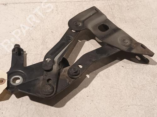 Hinge/Door check strap LAND ROVER RANGE ROVER SPORT I (L320) 3.6 D 4x4 | BP21378718C146 