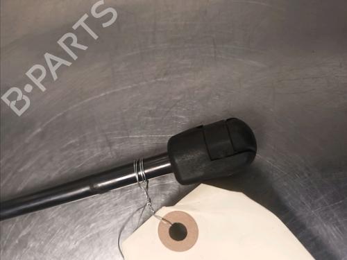 Tailgate lift support CITROËN DS4 (NX_) 2.0 HDi 165 | BP14868058C138 
