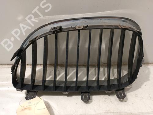 Grille BMW 5 (E60) 530 d | BP16106031C40 