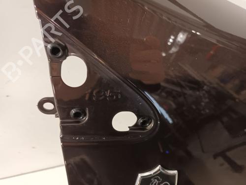Right front fenders RENAULT CLIO III (BR0/1, CR0/1) 1.5 dCi | BP21499846C42 