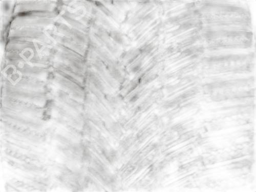 Other MERCEDES-BENZ E-CLASS (W211) E 220 CDI (211.006) | BP32131950O1