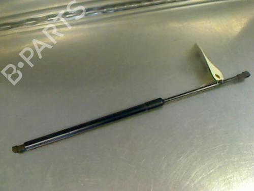 Gassdemper Bakluke BMW X5 (E53) 3.0 d (211 hp) 14867864