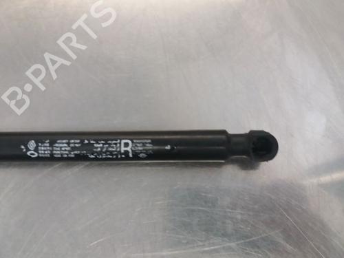Tailgate lift support RENAULT KOLEOS I (HY_) 2.0 dCi 4x4 (HY0B) | BP14867903C138 