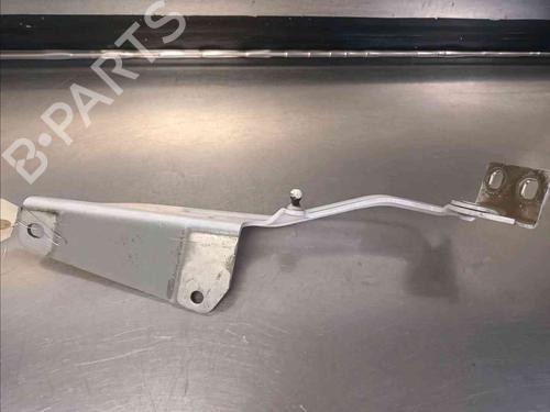 Hinge/Door check strap RENAULT KANGOO Express (FW0/1_)  | BP20603353C146 