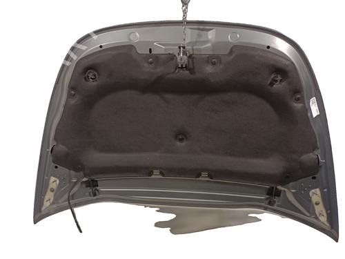 Hood CITROËN DS5 2.0 HDi 165 | BP32203175C1